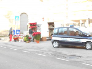 pm fiori (2)