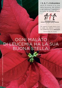 stelle-di-natale-ail-2015
