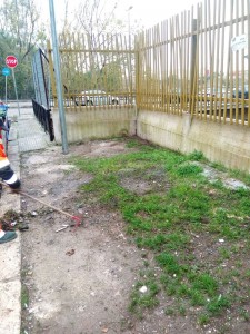 PULIZIA AREA CASSONETTI DI VIA A. GRANDI DEL 05.01 (1)