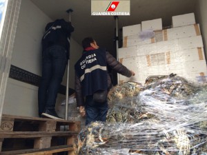 capitaneria tallone achille (1)