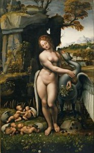 cigno1[1]
