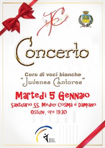 natale15_vbLoc