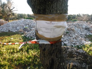 campagne rifiuti (1)