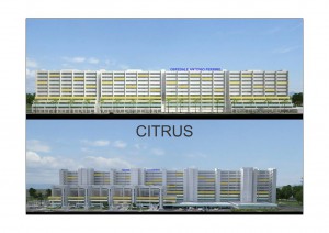 citrus