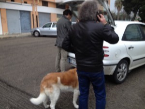 cani