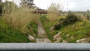 foto canale 3