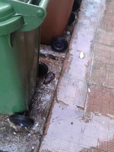 topo morto
