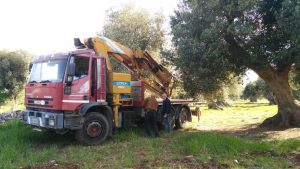 CAMION_1