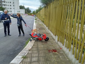 mini moto