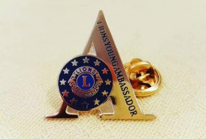 Young Ambassador (2)