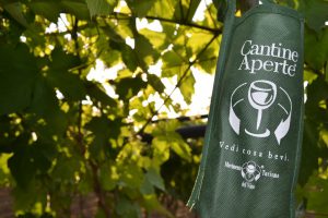 cantine aperte 2015 mazzone calice vigneto (1)