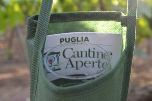 cantine aperte 2015 mazzone calice vigneto (3)