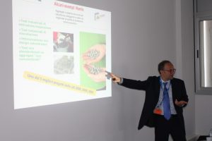 CONVEGNO CETMA  (7)