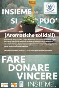 anteprima insieme si puo