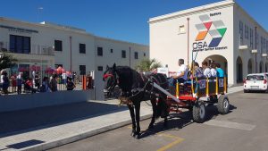 rrsa centro estivo (4)