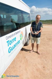 tartaruga verde (1)
