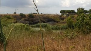 incendio cillarese (3)