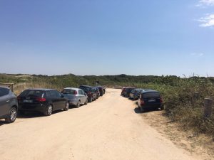 penna grossa parcheggio (2)