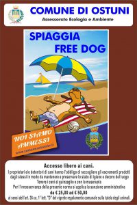 spiaggia freedog