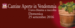 cantine-aperte-in-vendemmia-2
