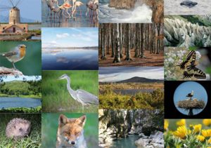 oasi-wwf-2