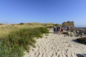 via_traiana_parco_dune_costiere_121
