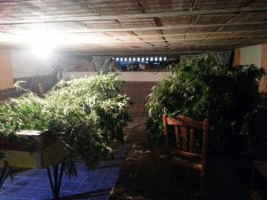 arresto-lo-noce-drogra-1