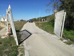 img_20161101_1300471