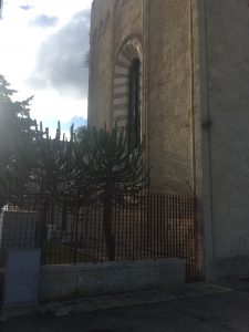 S. Maria del Casale: retro abside