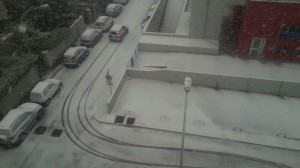 NEVE BOZZANO