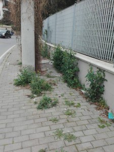 citta sporca (20)