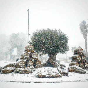 neve 070117 cellino