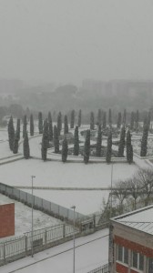 neve 070117 parco di giulio (2)
