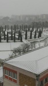 neve 070117 parco di giulio (3)
