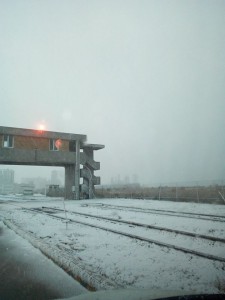 neve nico sciscio