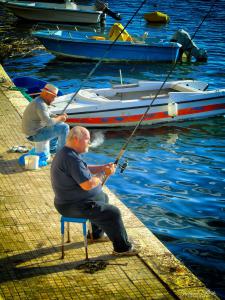 off shore 2017 foto gabriele pinto (3) (1)