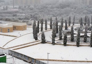 parco-di-giulio-neve