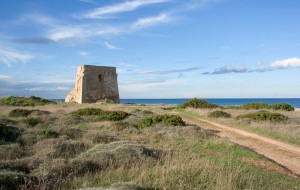 Millenari di Puglia: le escursioni del primo weekend del 2014