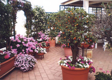 Concorso “Città in fiore”: iscrizioni entro lunedì 8 luglio