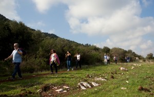 Millenari di Puglia: domenica escursione ai piedi della collina tra Ostuni e Montalbano