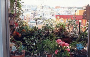 Balconi e terrazze in fiore: ecco i vincitori del concorso