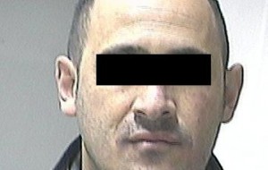Lite per un asino: un arresto ed un ferito