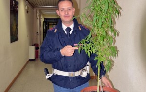 Pianta di marijuana nel garage: indagato 23enne di Brindisi