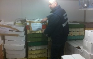 Controlli di fine anno: la Capitaneria di Porto sequestra oltre due tonnellate di pesce