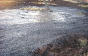 Illegale smaltimento dei residui di produzione: denunciato titolare di frantoio di Villa Castelli