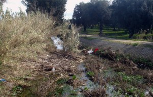 Canali intasati e pericolosi a S. Pietro V.co: Ragusa (Pdl) scrive al Prefetto