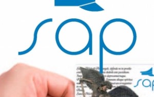 Sap: “sottrarre sicurezza è scelleratezza incommensurabile”