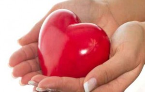 Donare gli organi: Aido e Comune di Brindisi per una scelta importante