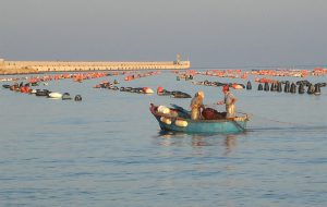 Pesca, Corsi HACCP- due giorni di formazione della FLAI a Fasano con i lavoratori del settore