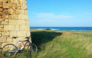 Millenari di Puglia: in bici verso Torre Pozzelle e trakking alle grotte di Lamacornola